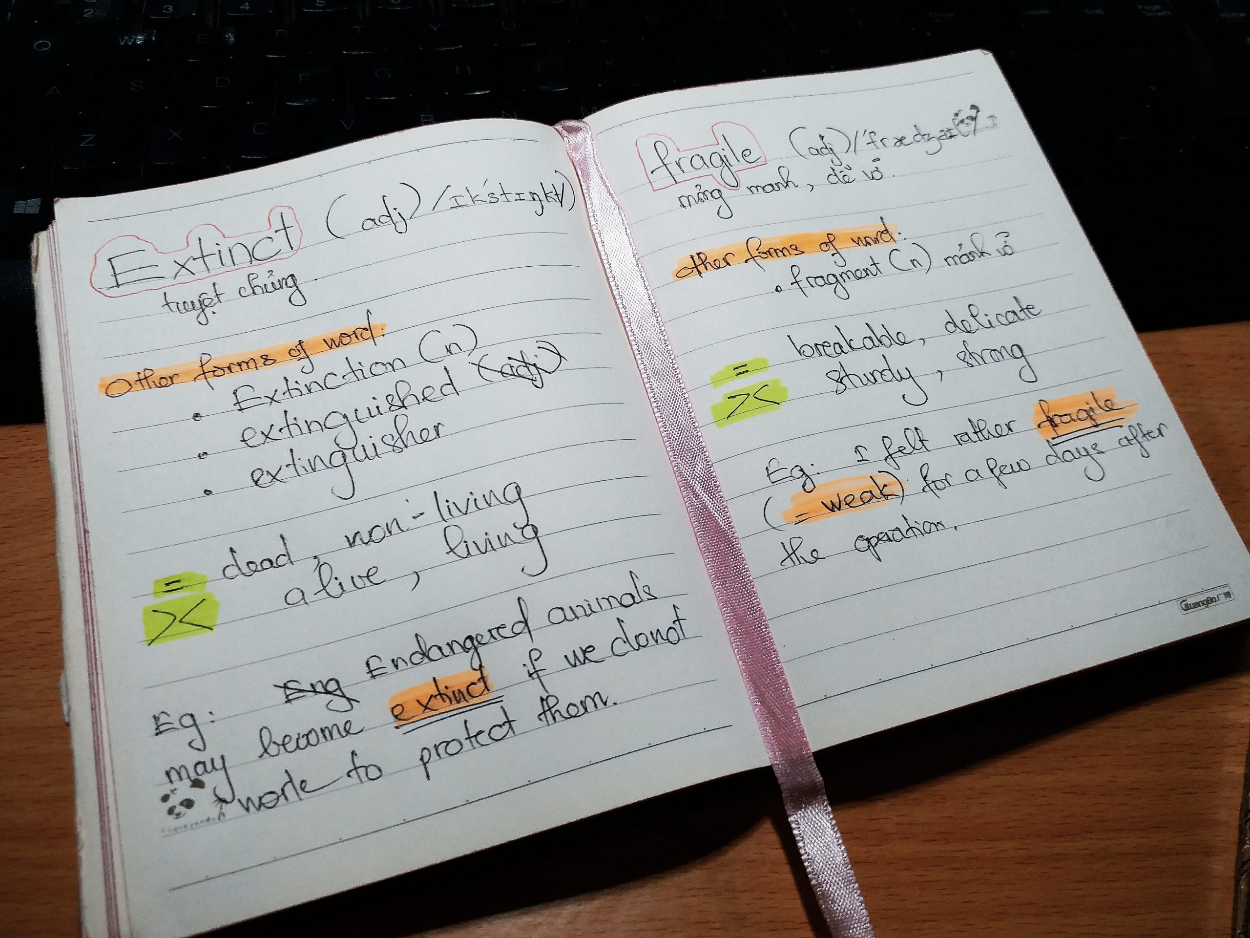 tiếng Anh cơ bản