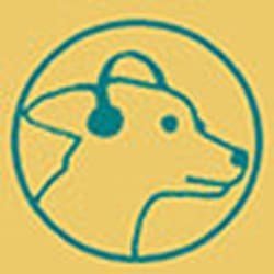 bài nghe tiếng anh