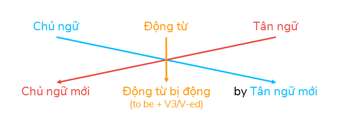 Nội động từ (Intransitive verb - động từ không cần tân ngữ đi kèm) không được dùng ở dạng câu bị động. 