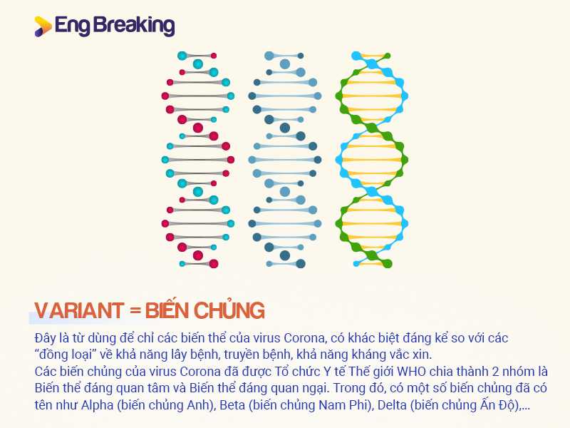 Biến chủng của virus