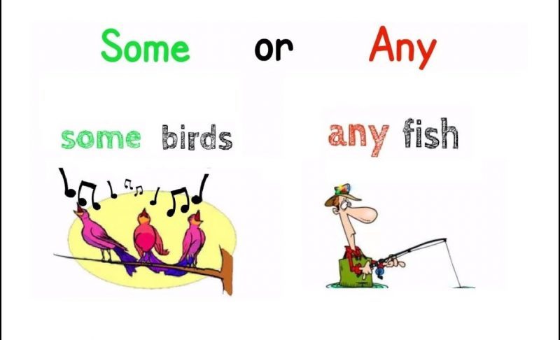 thực hành thường xuyên cách dùng some và any