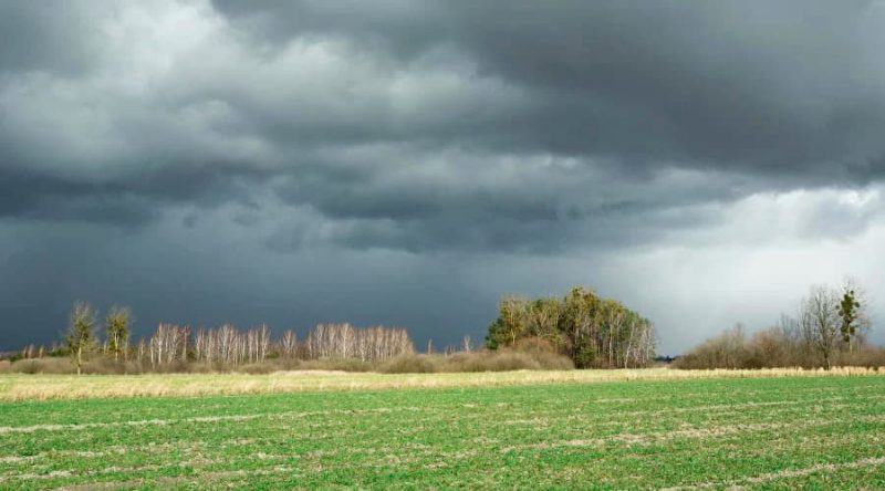 Look at the sky! It's going to rain.