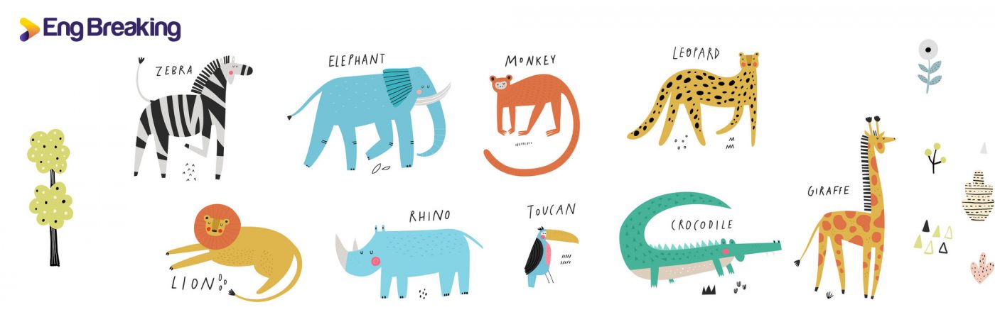 con vật tiếng anh