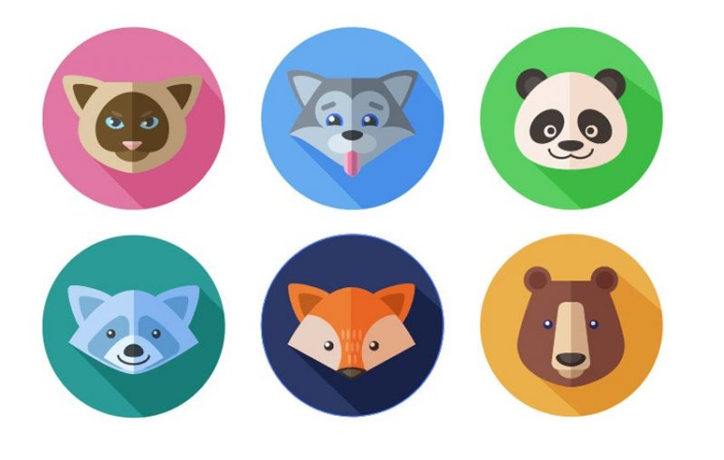 tiếng anh con vật