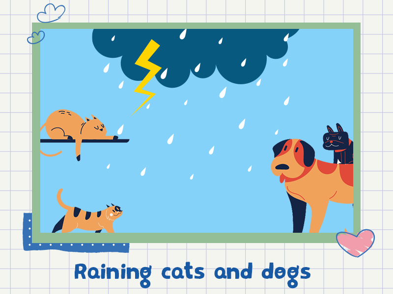 Raining cats and dogs