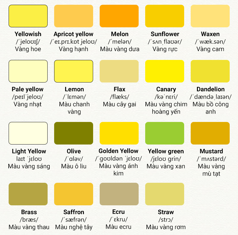 bảng màu tiếng anh