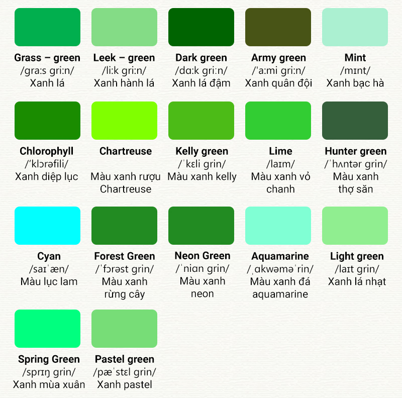 màu trong tiếng anh