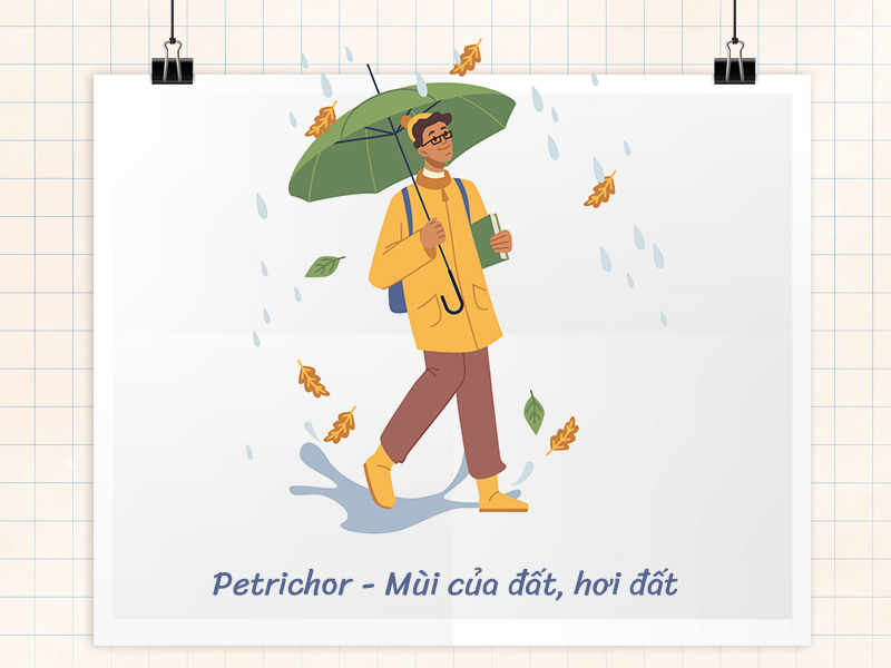 Những từ tiếng Anh hay - Petrichor
