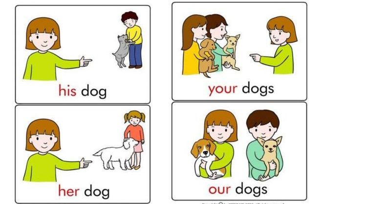 tính từ sở hữu