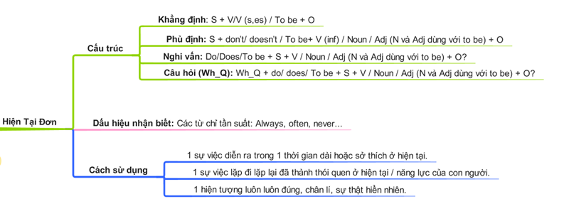 Sơ đồ tư duy các thì trong tiếng Anh - thì hiện tại đơn