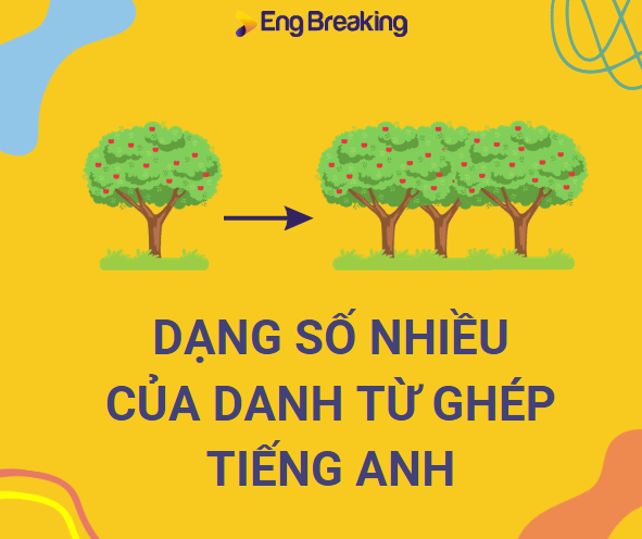 Lưu ý về các dạng số nhiều của danh từ ghép tiếng Anh