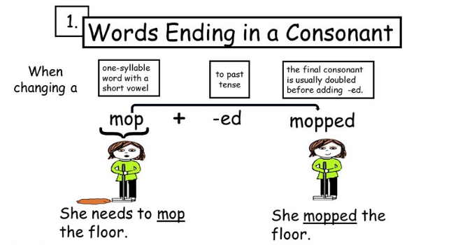 Cách chia động từ ở thì quá khứ đơn