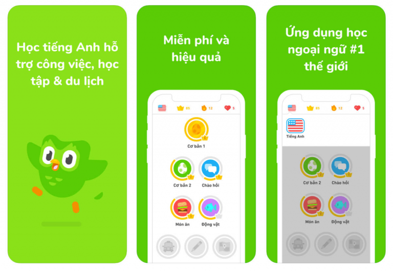 App học tiếng Anh giao tiếp miễn phí Duolingo