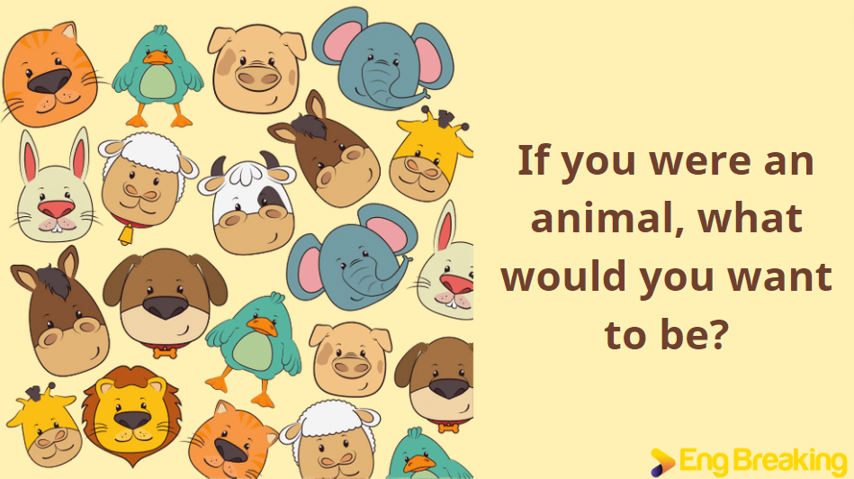 Đưa ra câu hỏi mang tính giả thuyết bằng câu điều kiện loại 2