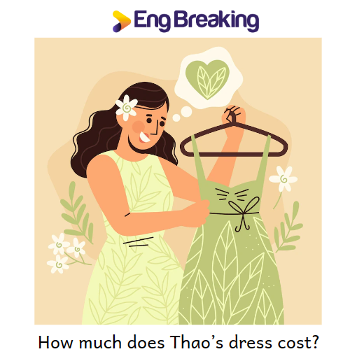 Ví dụ về cấu trúc how much hỏi giá cả với động từ thường