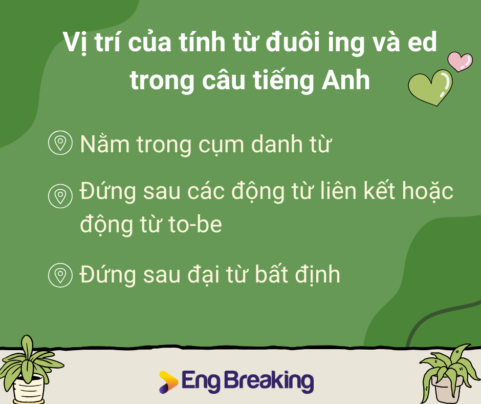 Ví dụ cho cách dùng tính từ ed trong câu
