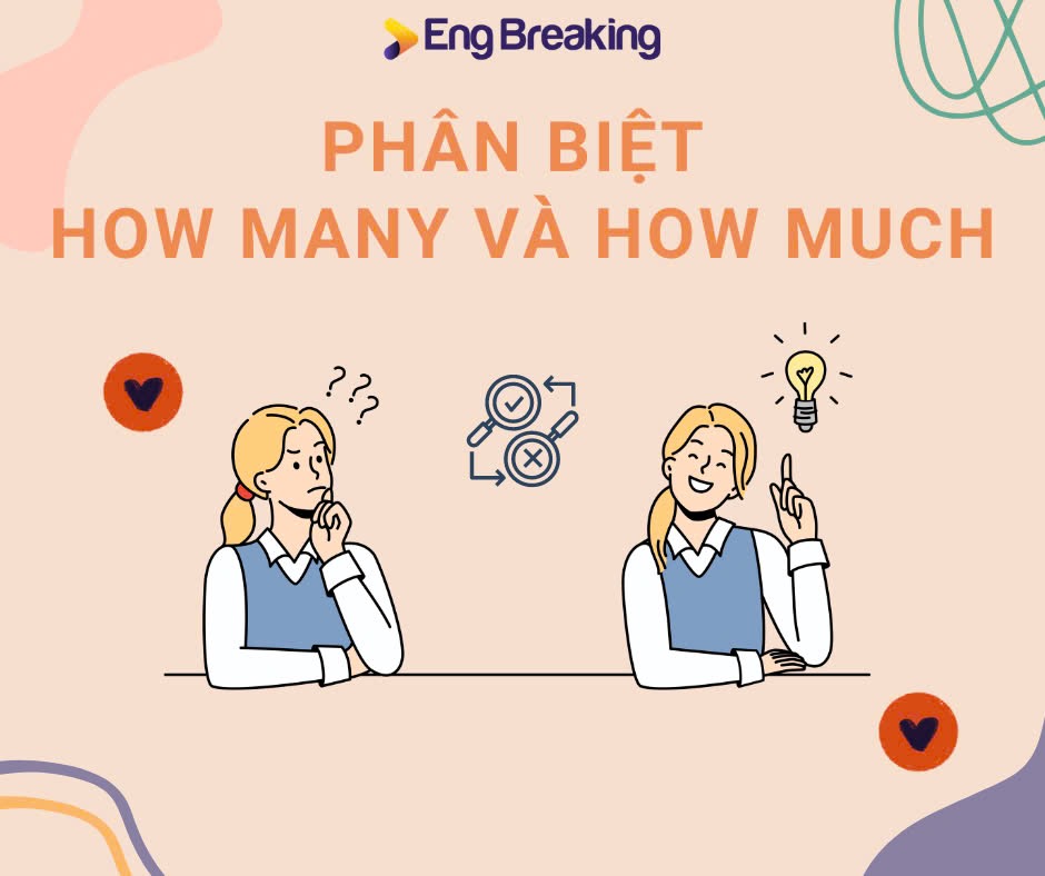 How many và How much phân biệt chủ yếu qua cách dùng